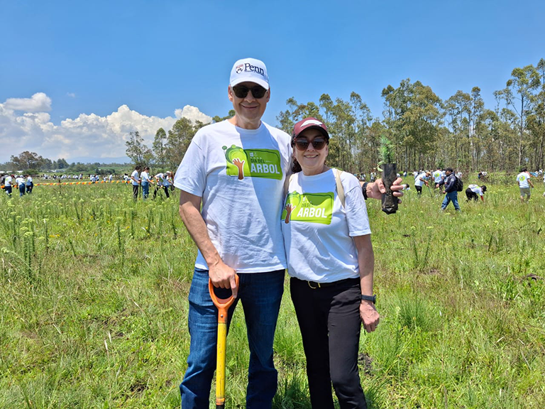 Voluntariado de reforestación