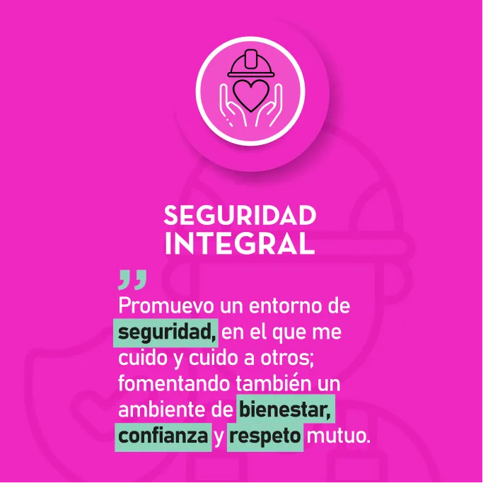 Seguridad Integral