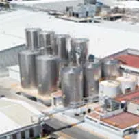 Jugos Del Valle-Santa Clara en 2006