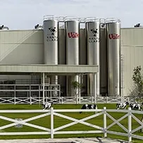 Jugos Del Valle-Santa Clara en 2019