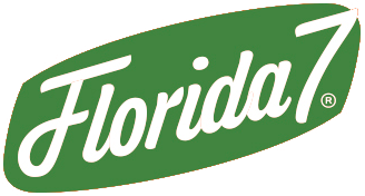 Florida 7