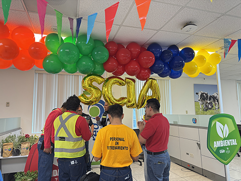 Actividad ambiental con colaboradores