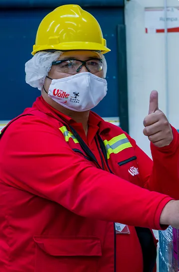 Colaborador de planta